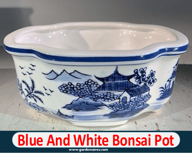 Blue And White Bonsai Pot