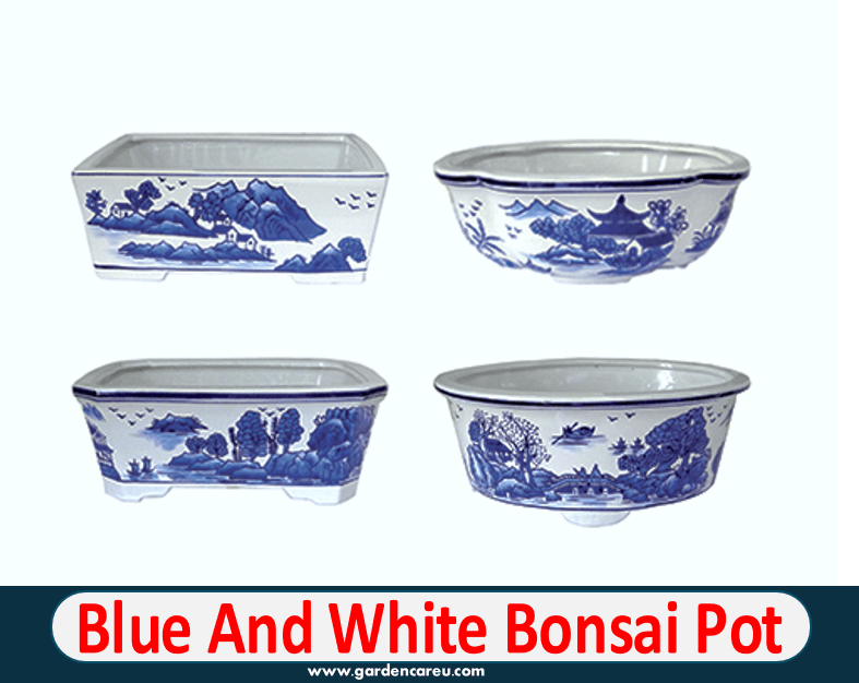 Blue And White Bonsai Pot