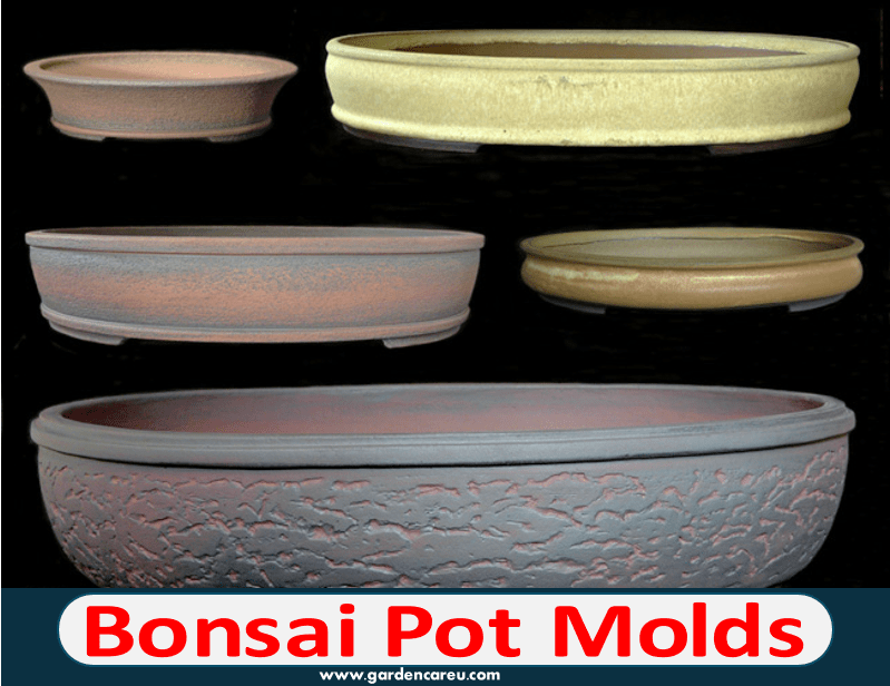 Bonsai Pot Molds