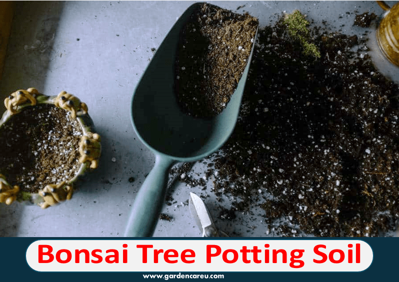 Bonsai Tree Potting Soil