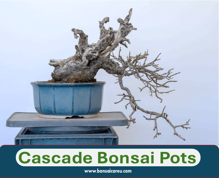 Cascade Bonsai Pots