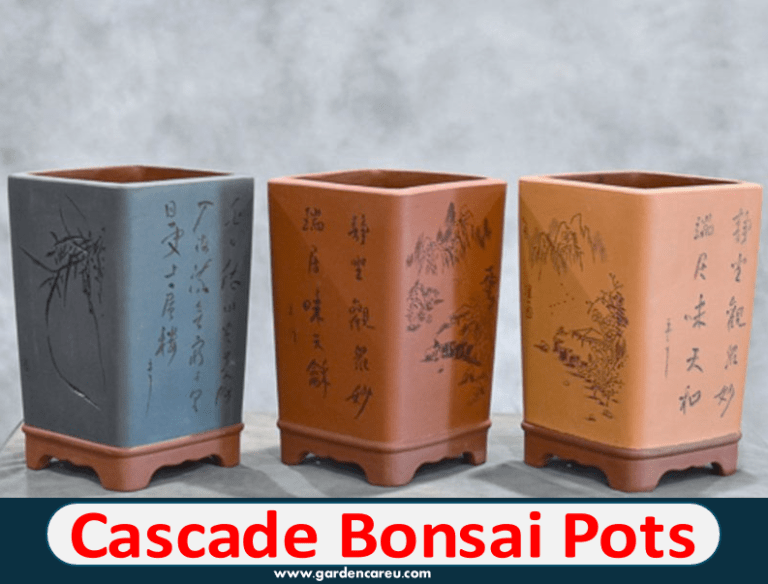 Cascade Bonsai Pots