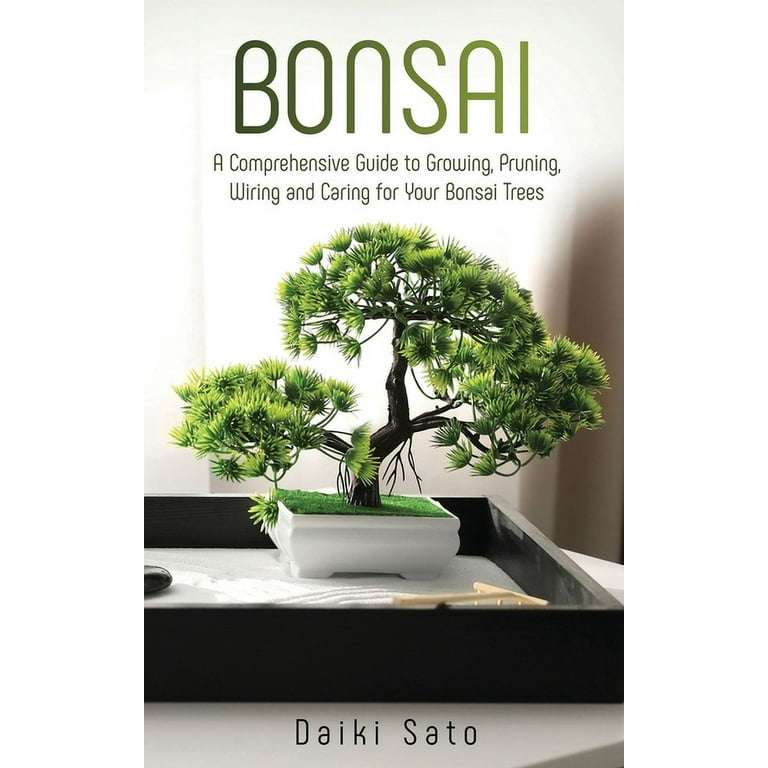 Bonsai Tree for Beginners Indoor