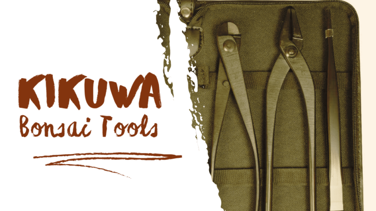 Kikuwa Bonsai Tools