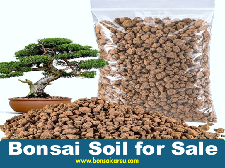 Bonsai Soil for Sale