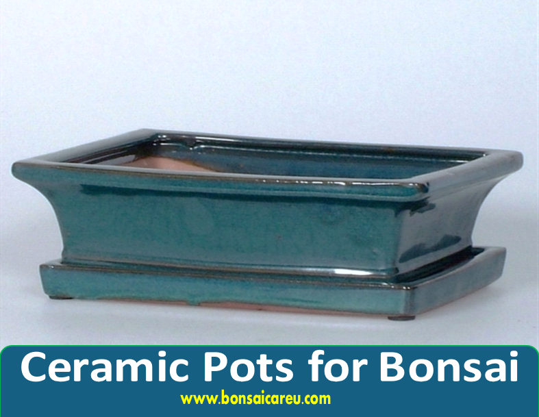 Ceramic Pots for Bonsai