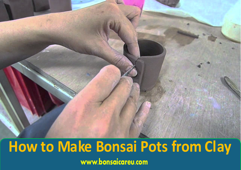 How to Make Bonsai Pots from Clay