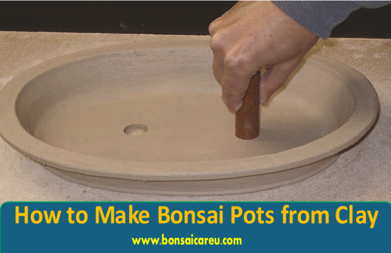 How to Make Bonsai Pots from Clay