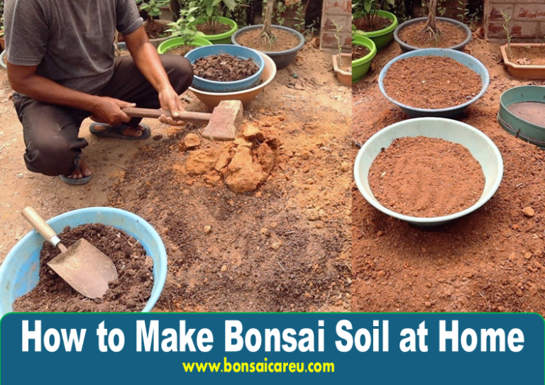How to Make Bonsai Soil at Home