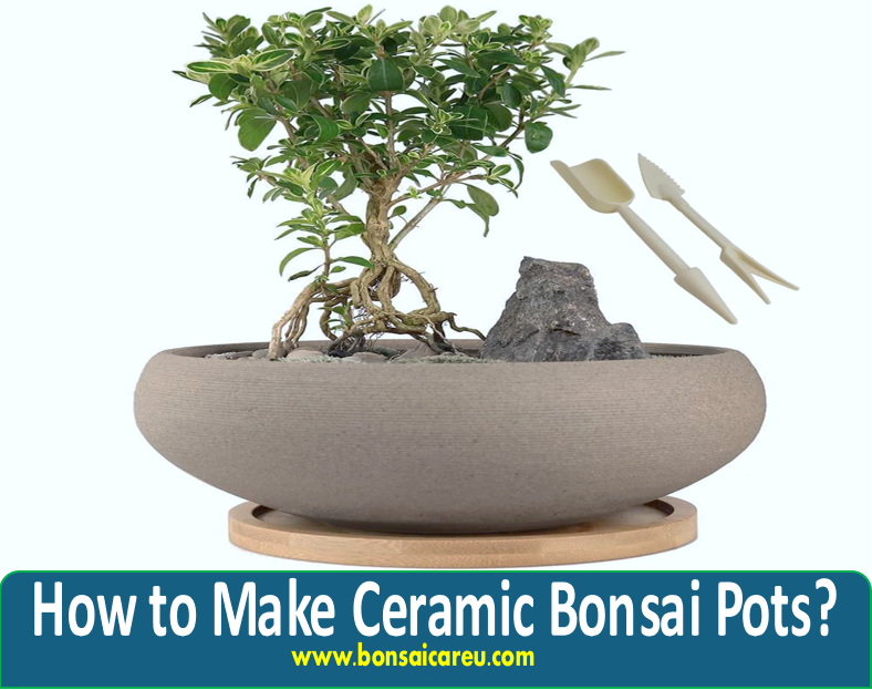 How to Make Ceramic Bonsai Pots