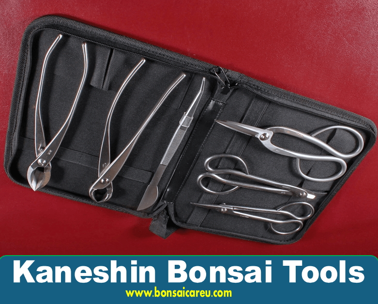 Kaneshin Bonsai Tools