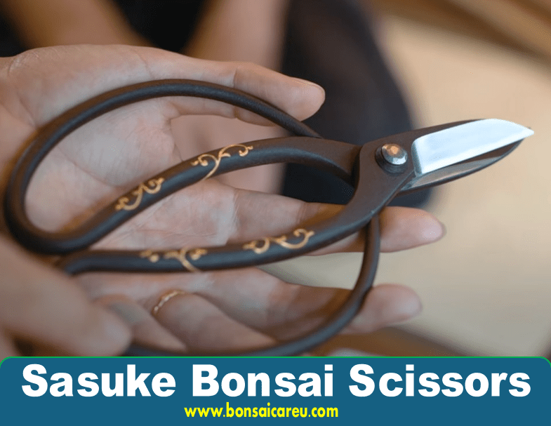 Sasuke Bonsai Scissors