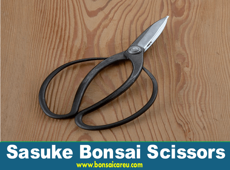 Sasuke Bonsai Scissors