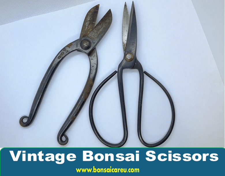 Vintage Bonsai Scissors