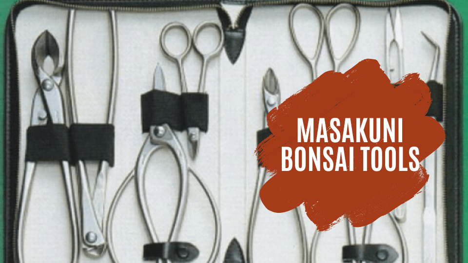 Masakuni Bonsai Tools