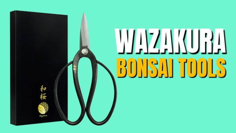 Wazakura Bonsai Tools